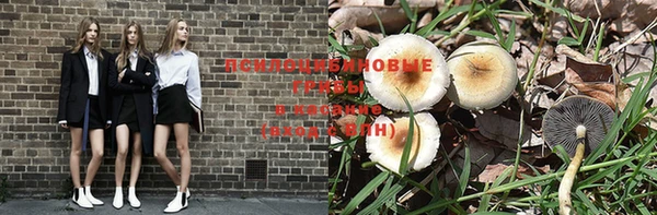 мет Осинники