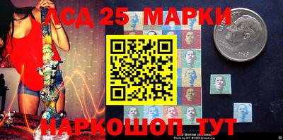 гашик Гатчина
