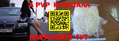 гашик Гатчина
