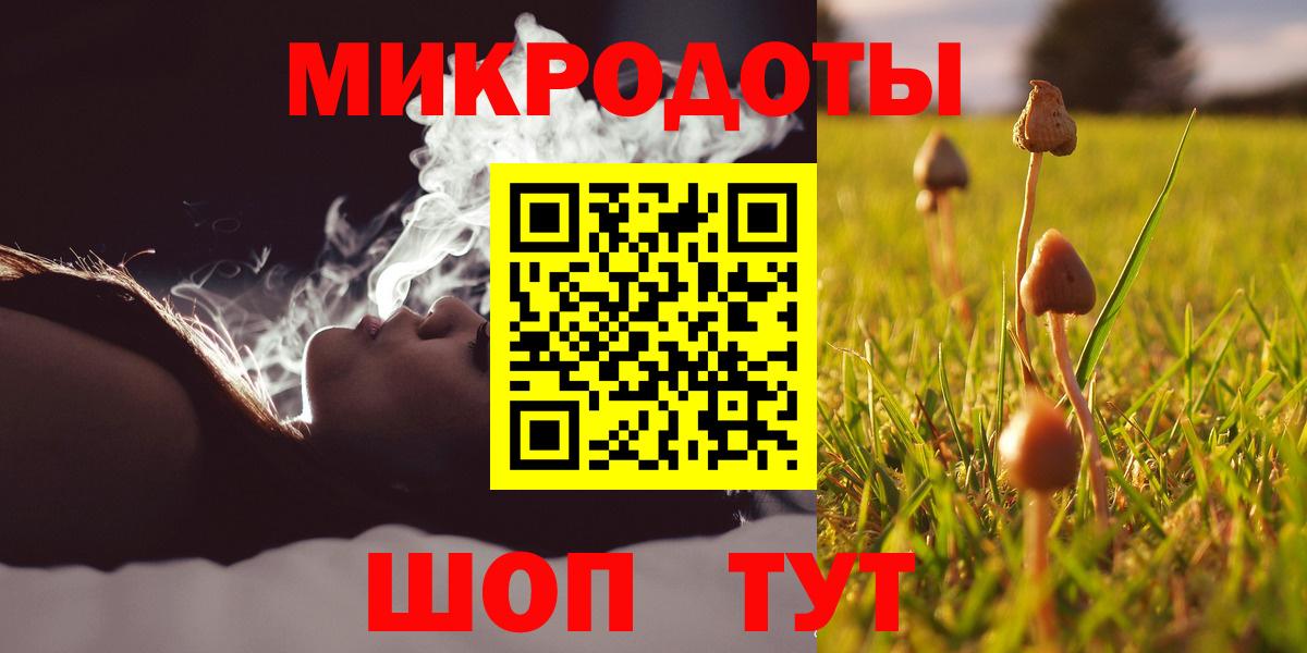 Галлюциногенные грибы Psilocybine cubensis  закладки  Кстово  Вход с VPN 